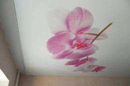 Фотопечать орхидея и дополнительный периметр под гардину